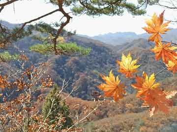 西沟乡最新天气预报