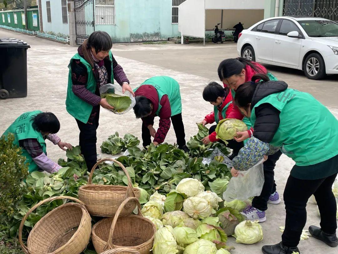 奉贤区级托养福利事业单位最新项目全面解读