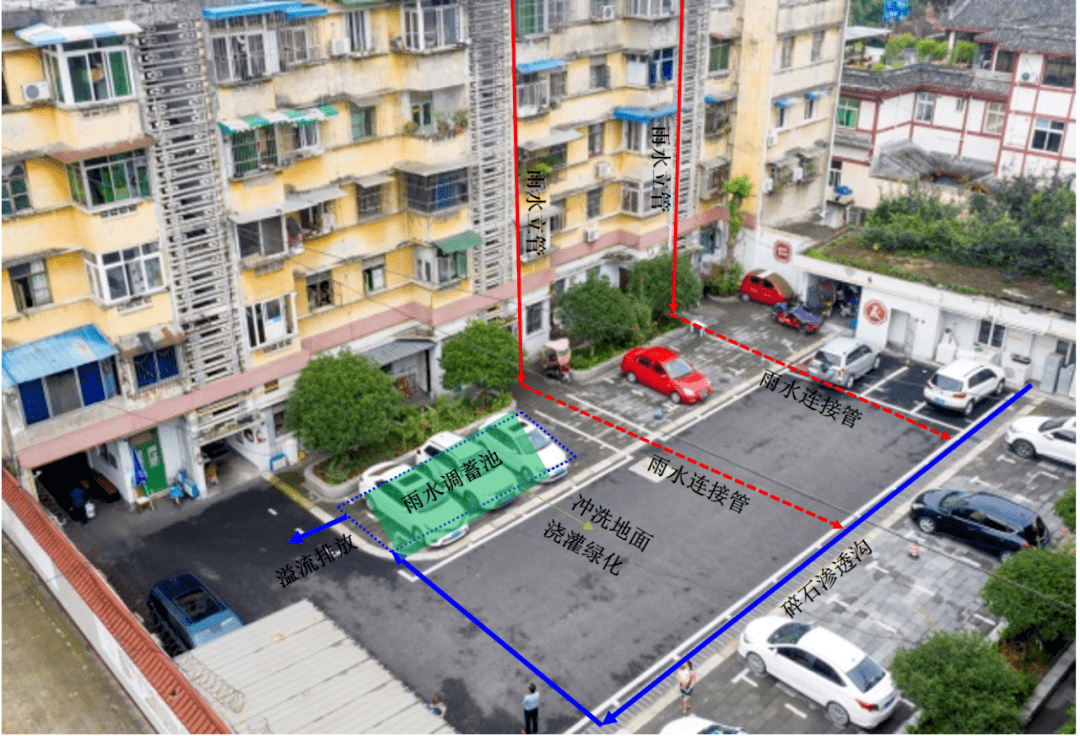 崇州市体育馆最新新闻报道