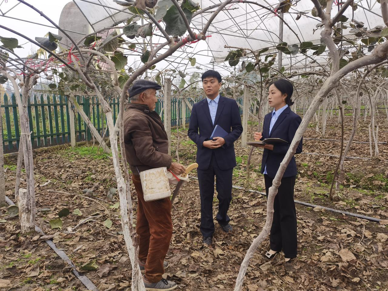 帮措村最新项目，乡村振兴的崭新篇章