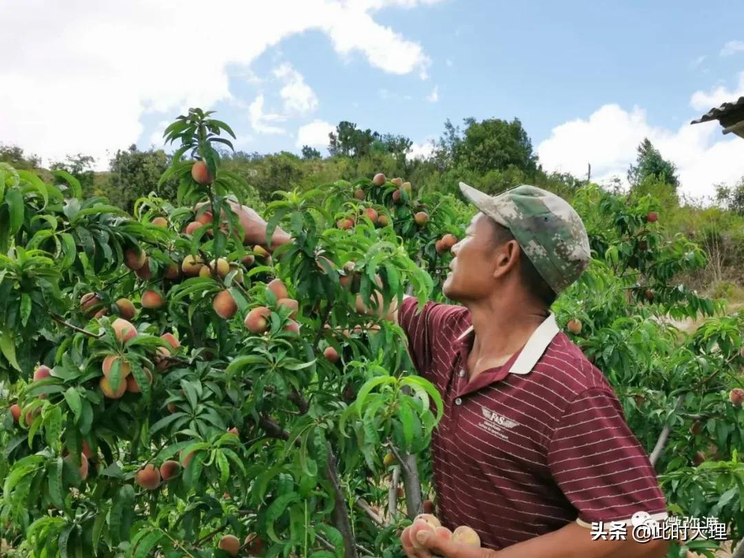 娱乐休闲 第232页