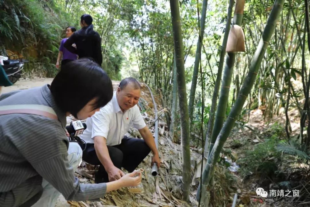 专题榜单 第219页