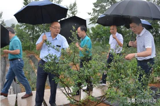 巴中市社会科学院人事任命公告