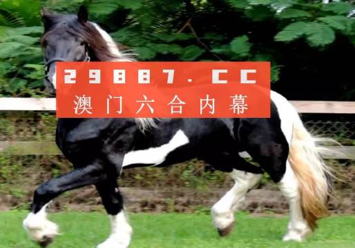 新澳门今晚必开一肖一特_自然全面释义落实_顶尖款812.947