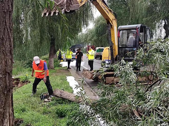 肥城市公路运输管理事业单位最新项目动态