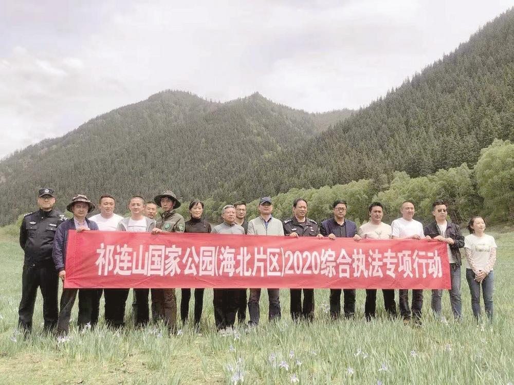 海北藏族自治州市林业局最新项目，生态修复与可持续发展之路